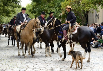 Argentine, province de Buenos Aires, San Antonio de Areco, fête du Jour de la Tradition (Dia de la Tradicion), gauchos à cheval défilant en habit traditionnel