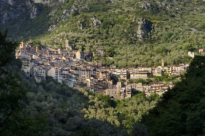 France, Alpes-Maritimes, Roya Valley (Nice hinterland), at the foot of the Mercantour National Park, perched village of Saorge