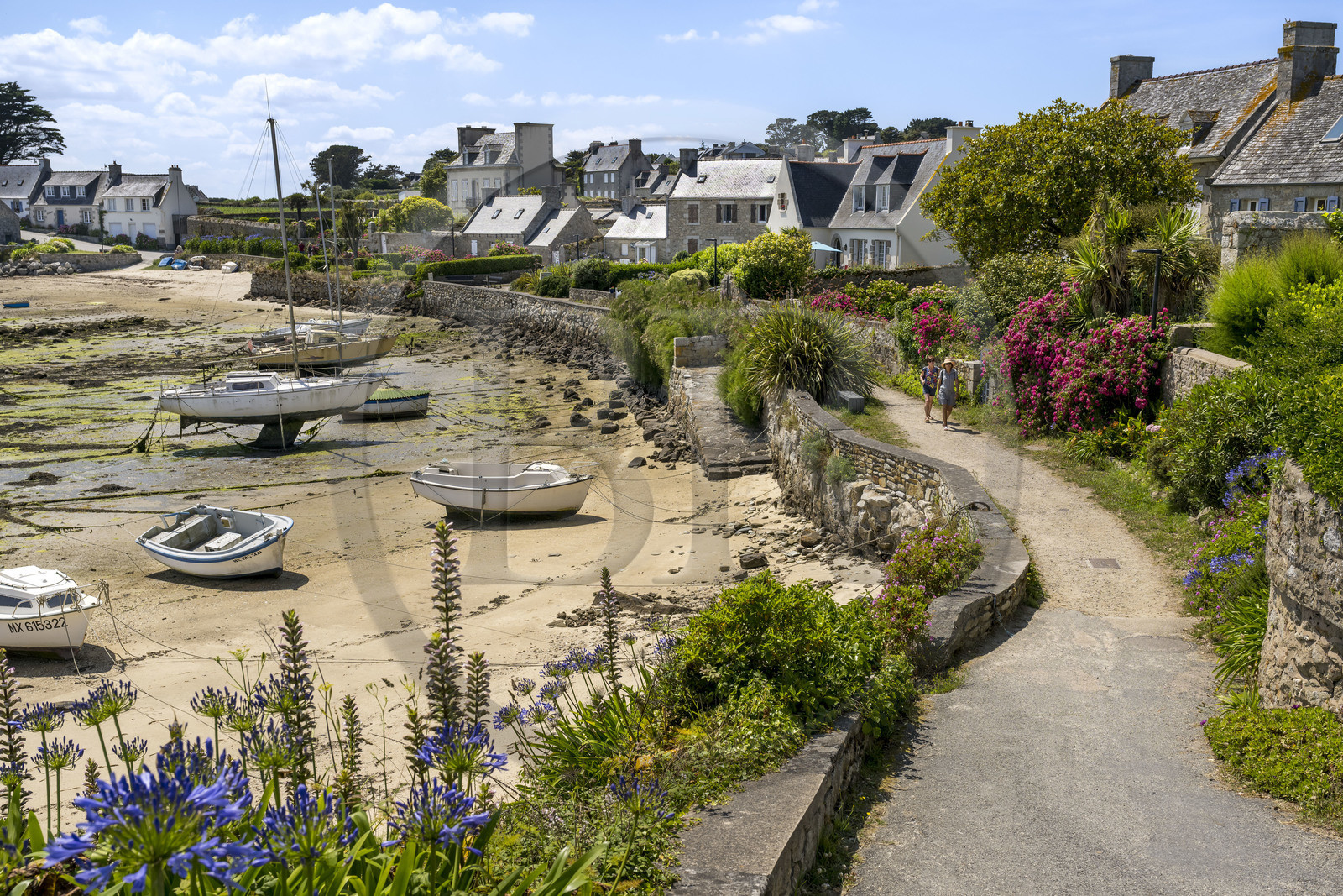 France, Finistère (29), Iles du Ponant, Ile de Batz, Porz an Eog, ancien port des goélettes