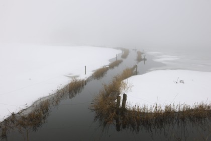 France, Manche, Cotentin, marshes of la Douve towards Liesville sur Douve