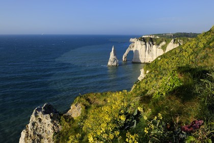 France, Seine-Maritime (76), Pays de Caux, Côte d'Albâtre, Etretat, la falaise d'Aval et l'Aiguille Creuse