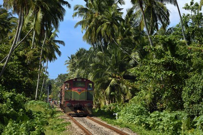Sri Lanka, Southern Province, Galle district, Telwatta, here a crowded train was swept away by the tsunami on 26 December 2004 claiming numerous victims