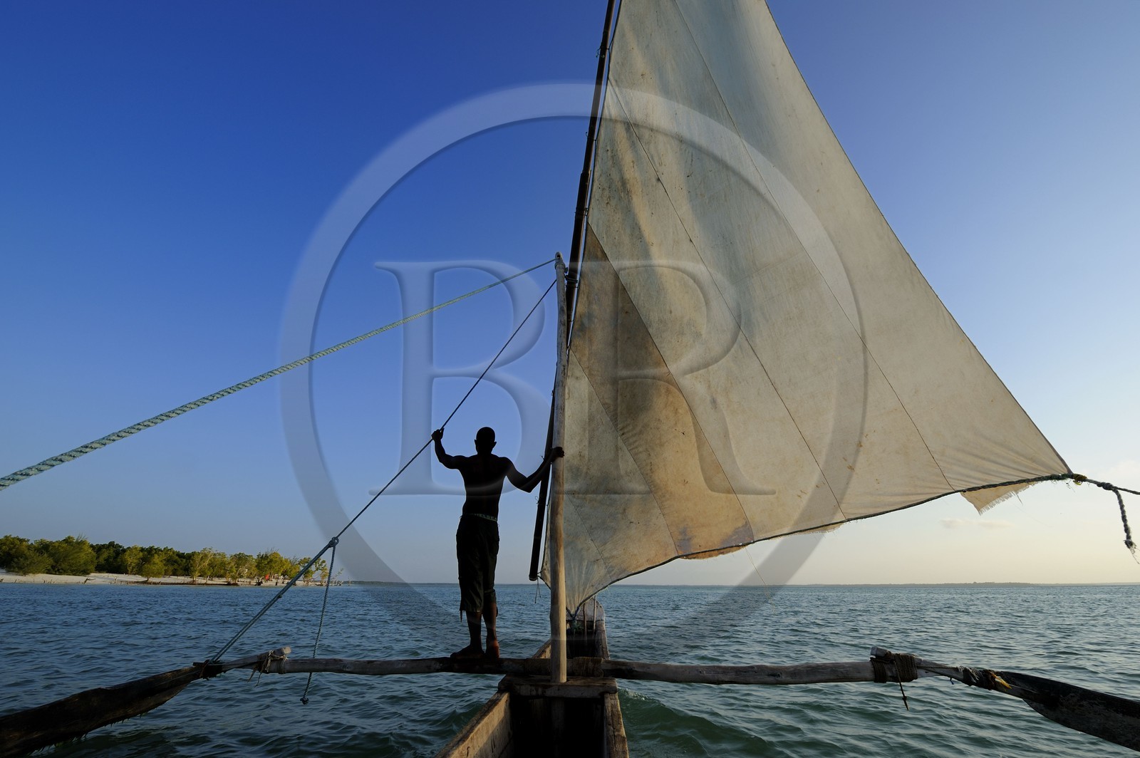 Tanzanie, archipel de Zanzibar, île de Unguja (Zanzibar), côte est, baie de Chwaka vers Michamvi, un dhow (boutre traditionnel)