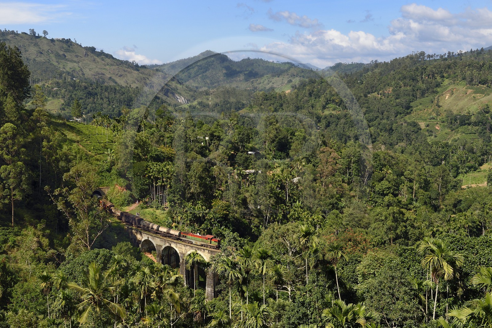 Sri Lanka, Province d'Uva, train sur la voie de chemin de fer dans la région montagneuse de la culture du thé entre Badulla et Ella, le Pont aux Neuf Arches (1921) non loin de Ella
