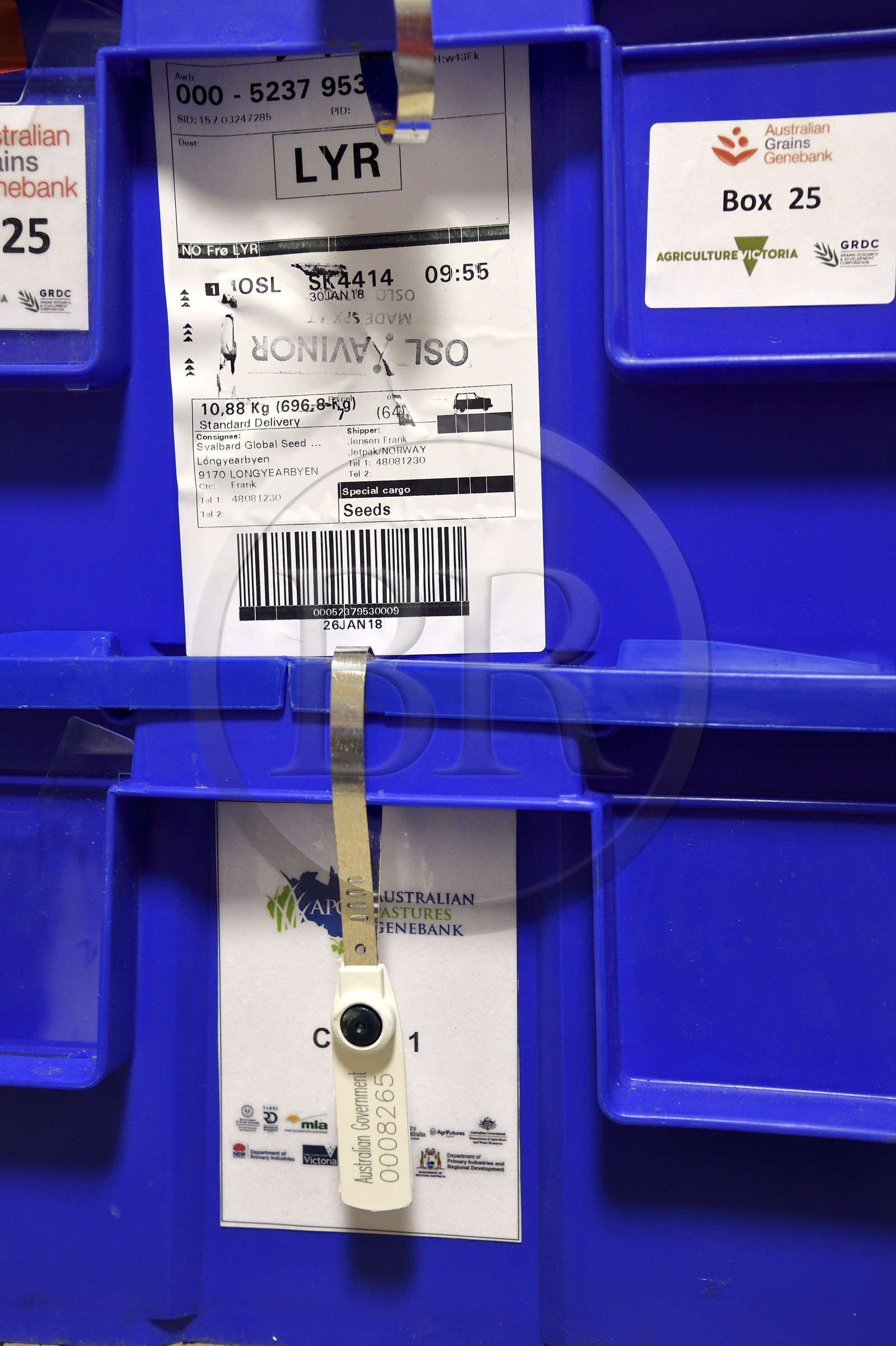 Norvège, Svalbard, Spitzberg, Longyearbyen, la Réserve mondiale de semences du Svalbard (banque de graines du Global Seed Vault), boites scellées contenant des semences en provenance du Australian Grains Genebank