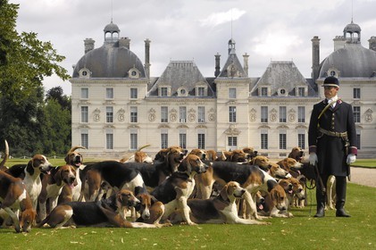 France, Loir et Cher, Chateau de Cheverny, Vol au Vent, the first whipper-in who manage the pack of 90 dogs for hunting