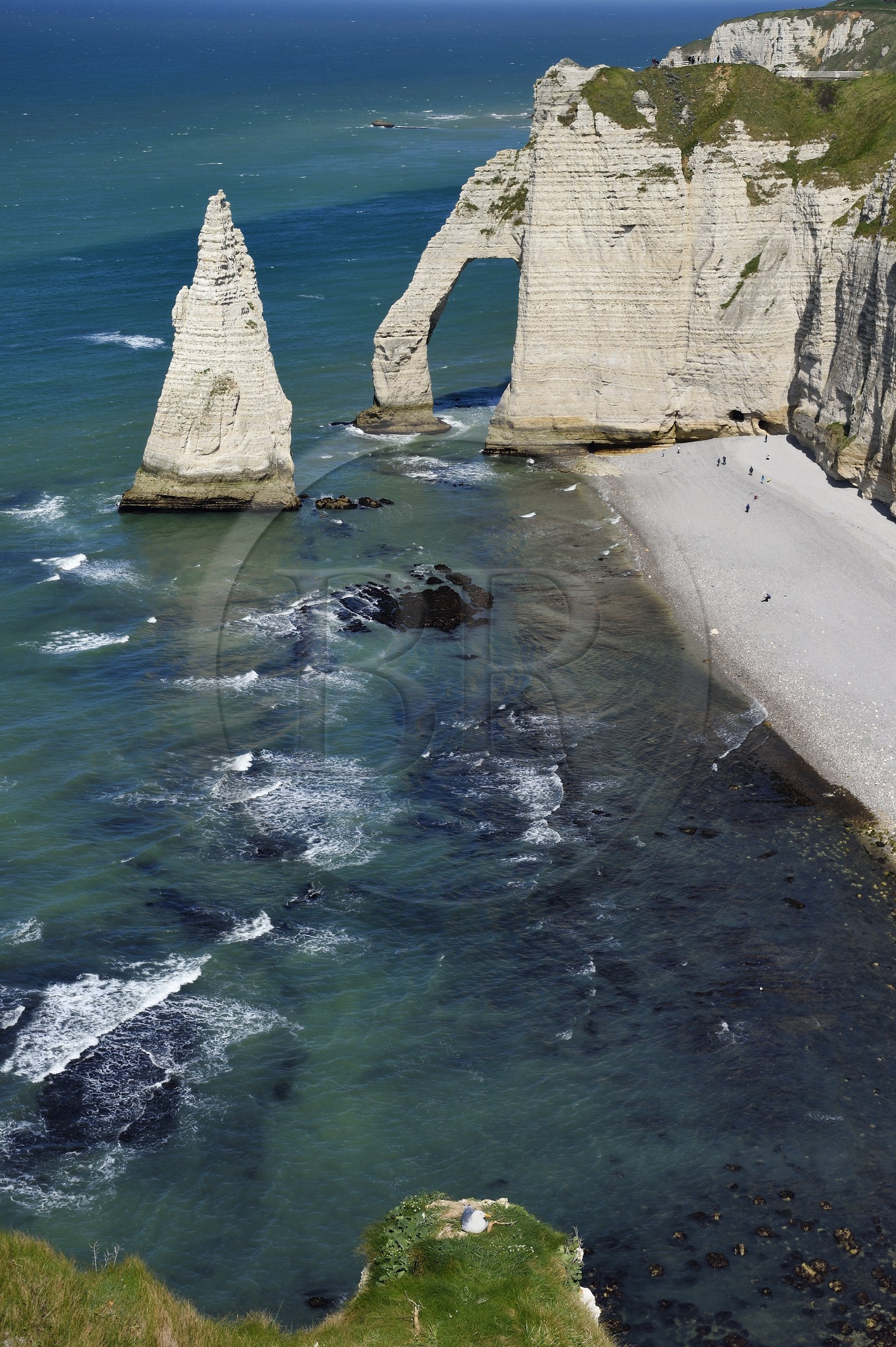 France, Seine-Maritime (76), Pays de Caux, Côte d'Albâtre, Etretat, la falaise d'Aval, l'Arche d'Aval et l'Aiguille