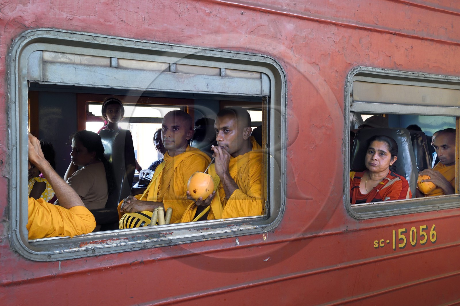 Sri Lanka, Province du Sud, moines bouddhistes buvant du lait de coco dans le train de Colombo à Galle