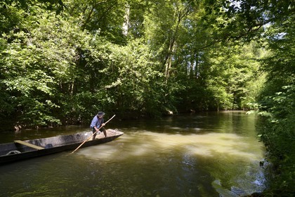 France, Bas Rhin, Ebersmunster and Muttersholtz region, the Ried, the boatman Patrick Unterstock in a small flat wooden bottom boat on the Ill river