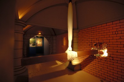 France, Loir et Cher, Chateau de Cheverny, Tintin et Les secrets de Moulinsart permanent exhibition