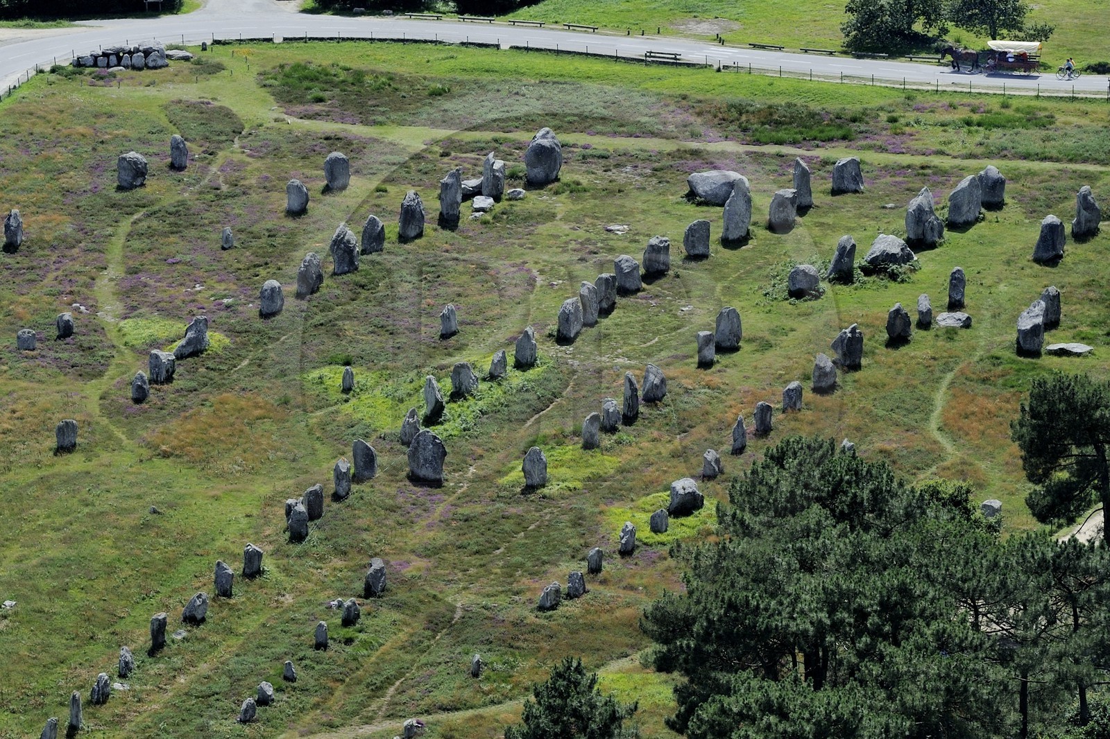 France, Morbihan (56), Carnac, alignement mégalithique de Kermario (vue aérienne)