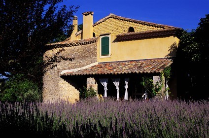 France, Var, Provence Verte (Green Provence), village of Bras next to Saint Maximin, bed and breakfast Le Peyrourier