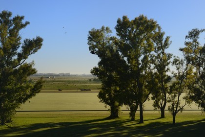 Argentine, province de Buenos Aires, San Antonio de Areco, estancia La Bamba de Areco, entrainement quotidien des chevaux de polo dans la pampa
