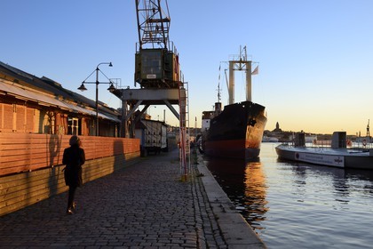 Sweden, Västra Götaland, Göteborg (Gothenburg), Maritiman’s fleet of ships in the old port