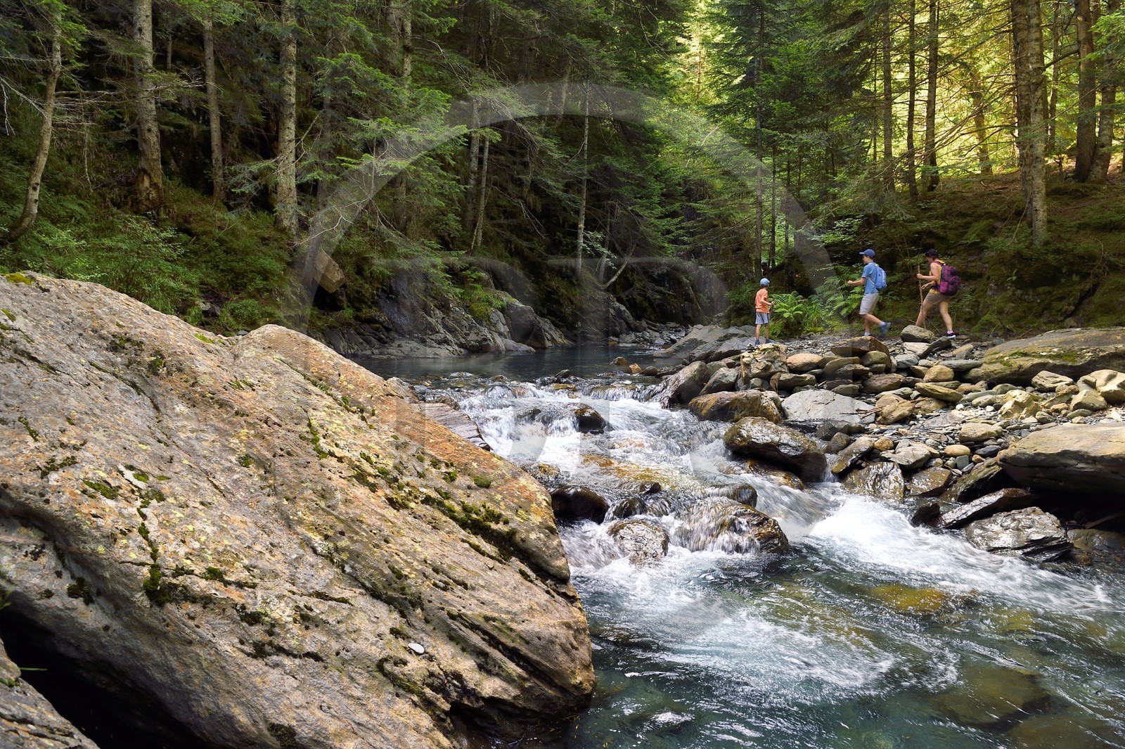 France, Hautes-Pyrénées (65), Saint-Lary-Soulan, vallée du Rioumajou, la (rivière) Neste de Rioumajou
