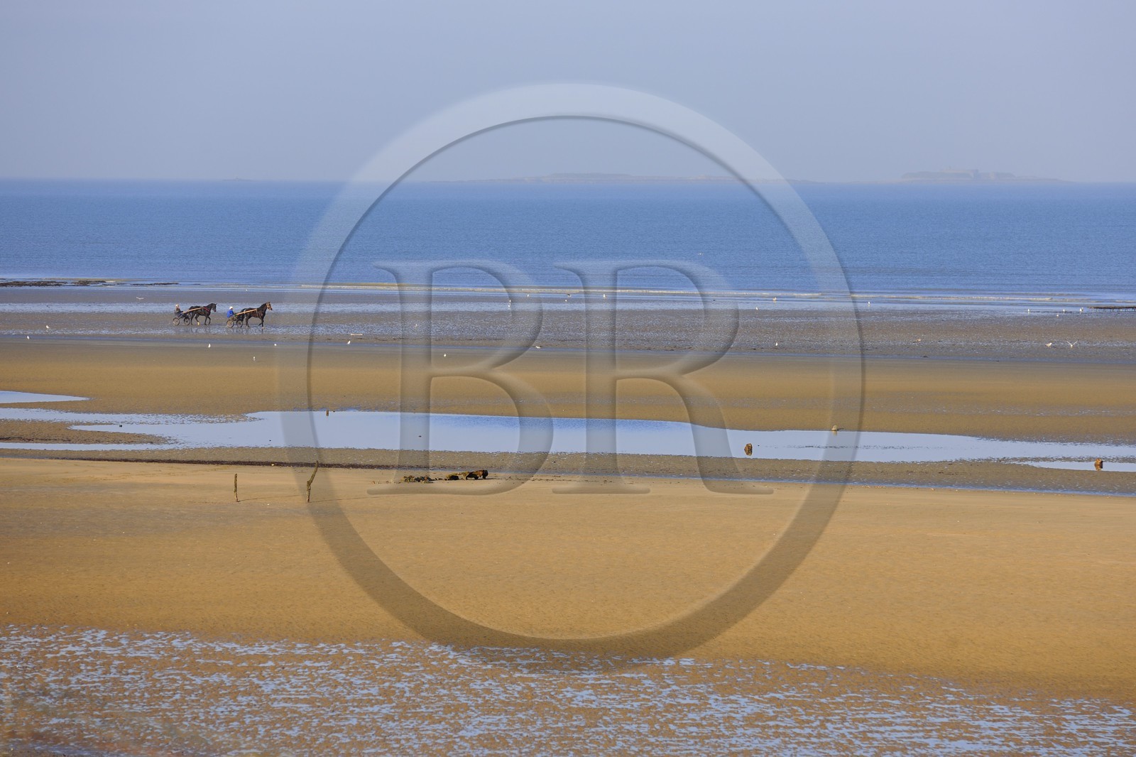 France, Manche, Cotentin, Sainte Marie du Mont, Utah Beach where took place the main American landing of D day, trotting carriages on the beach at low tide