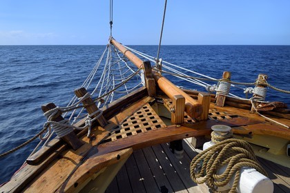 France, Alpes-Maritimes, Saint Jean Cap Ferrat, sea trip on the Santo Sospir boat with the SOS Grand Bleu association for watching dolphins and whales in the Pelagos Sanctuary