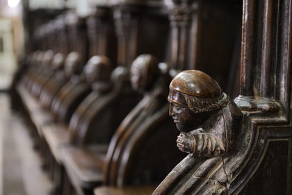 France, Ille-et-Vilaine,  Bay of Mont Saint Michel, Dol de Bretagne, Saint Samson cathedral of gothic style, both sides of the choir are located 77 stalls dated from the fourteenth century