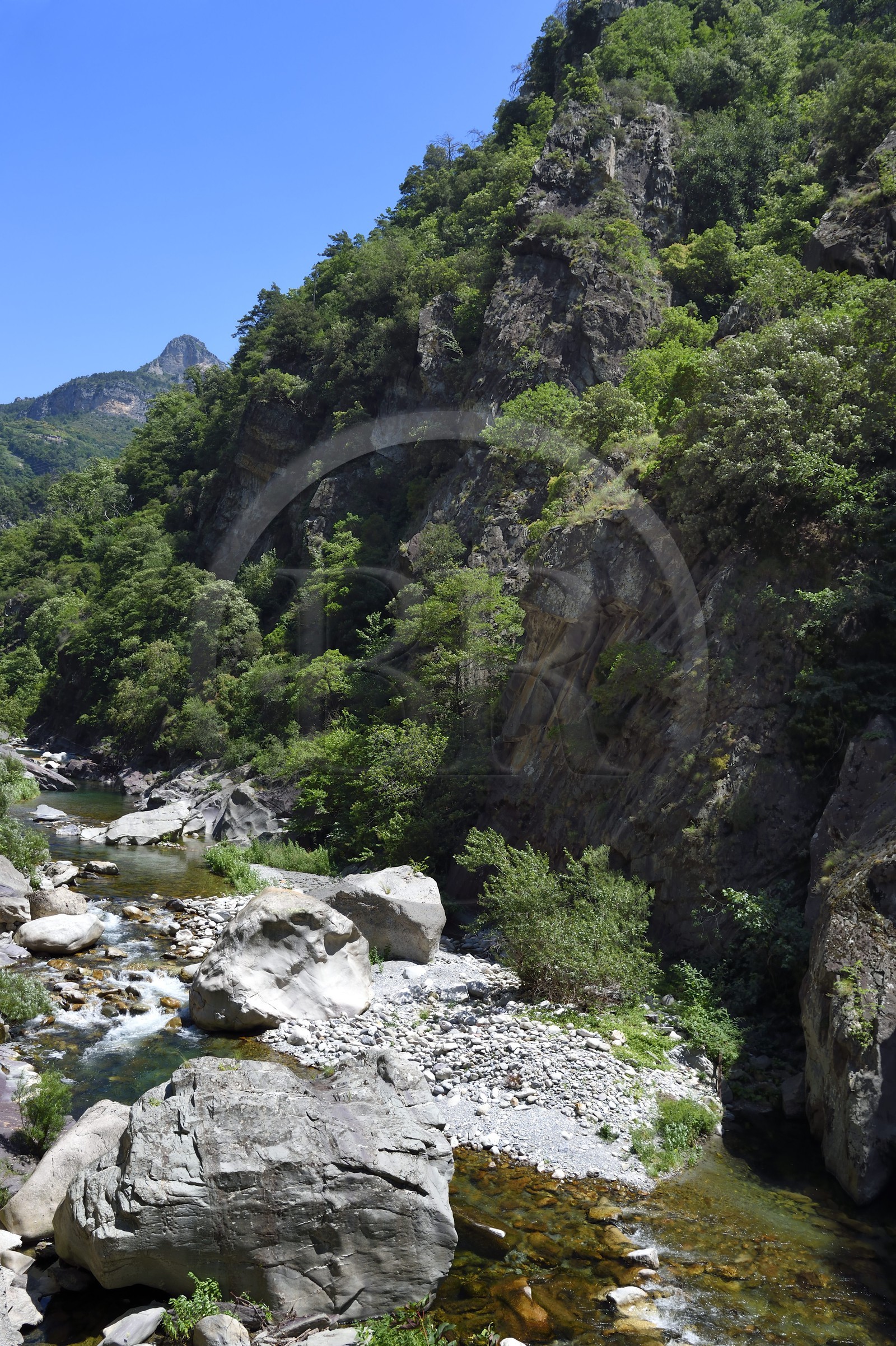 France, Alpes-Maritimes (06), vallée de la Roya, les gorges de Paganin entre Saorge et Tende, la rivière de La Roya