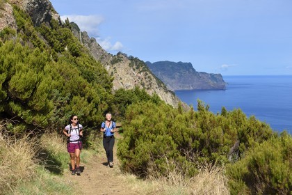 Portugal, Madeira Island, hike from Machico to Porto da Cruz by the Vereda do Larano, at the Boca do Risco pass