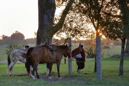 Argentine, province de Buenos Aires, San Antonio de Areco, gauchos dans l'estancia La Bamba de Areco