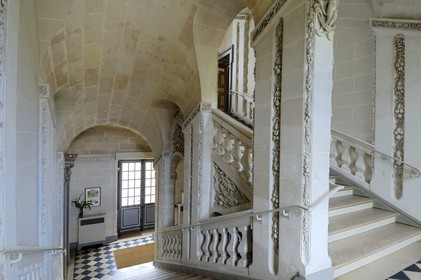 France, Loir et Cher, Chateau de Cheverny, main staircase beloved by Herge