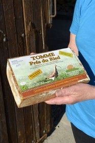 France, Bas Rhin, Muttersholtz, the Ried tomme cheese