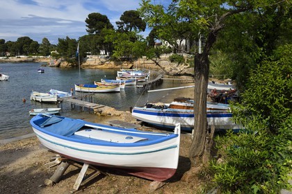 France, Alpes-Maritimes, Antibes, Cap d'Antibes, pointus (fishing boats) at the port de l'Olivette