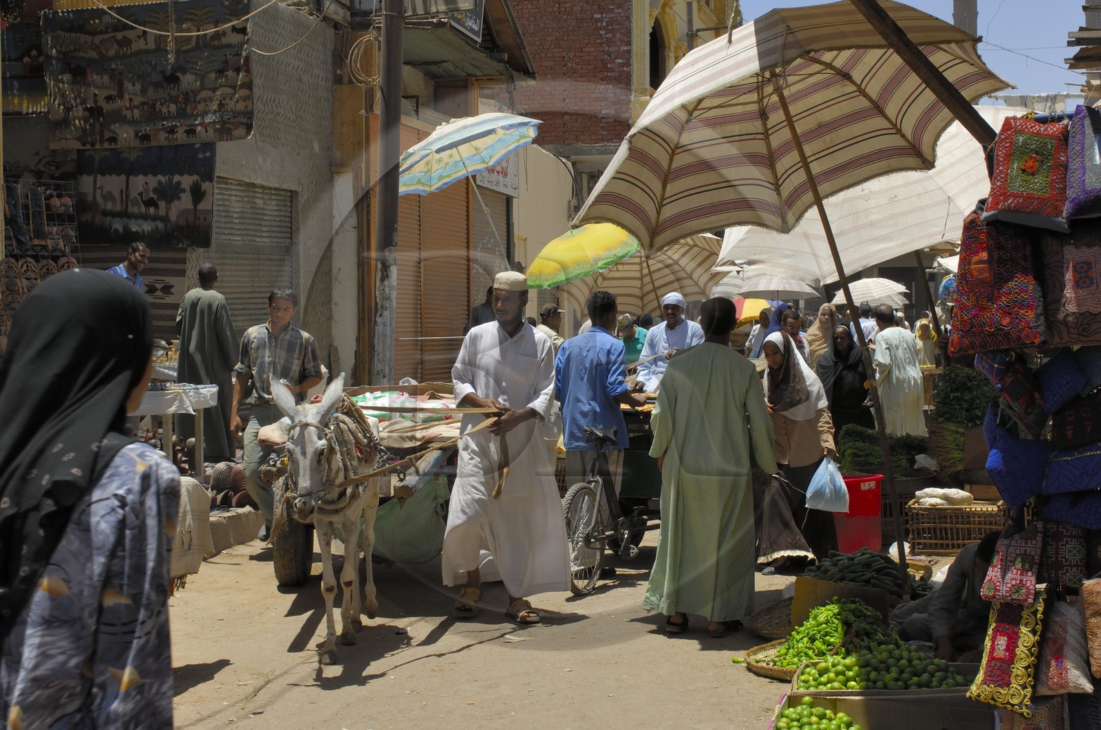 Egypte, Haute Egypte, Nubie, vallée du Nil, Assouan, le souk