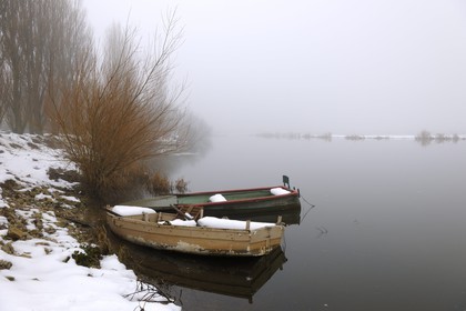 France, Manche, Cotentin, marshes of la Douve towards Liesville sur Douve