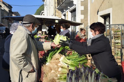 France, Dordogne, Périgord Vert, Thiviers, Saturday morning market on Place Foch, vegetable stall