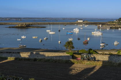 France, Finistère (29), Iles du Ponant, Ile de Batz, baie de Porz-Kernok dans le chenal au petit matin, le tracteur est le moyen de transport principal de l'ile