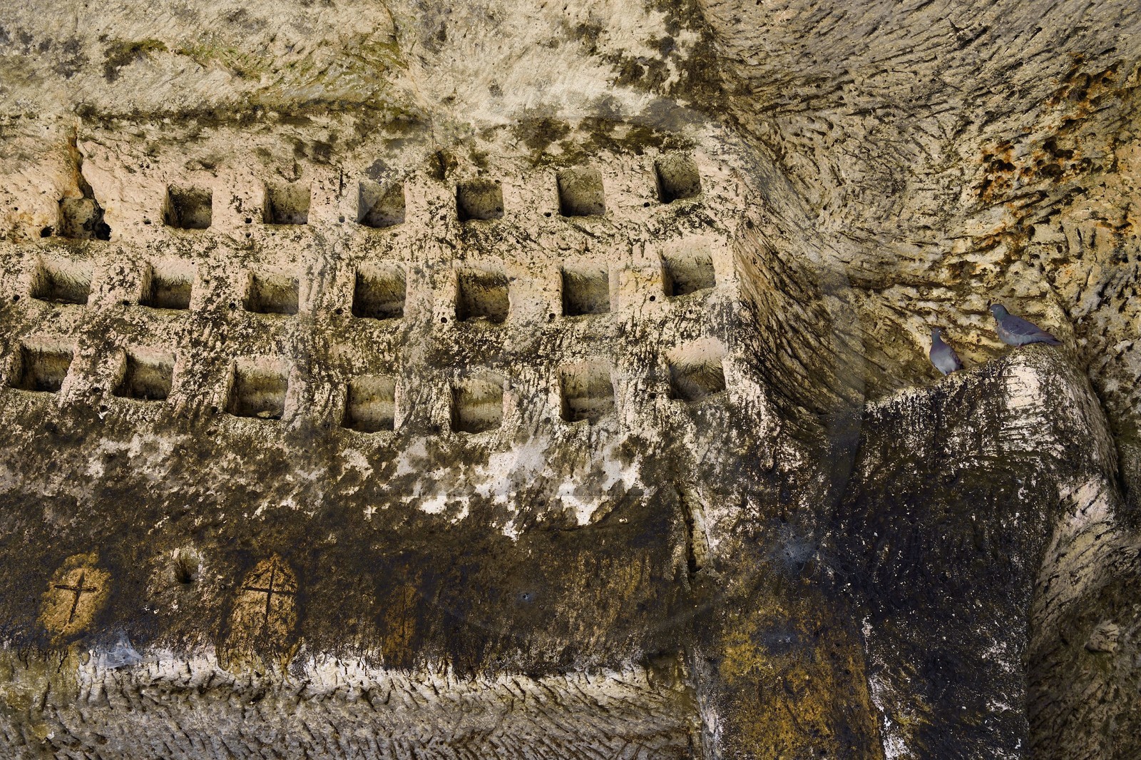 France, Dordogne (24), Brantôme, l'abbaye bénédictine Saint-Pierre de Brantôme, vestiges du premier monastère aménagé dans les grottes au pied de la falaise, un des nombreux pigeonniers troglodytiques présents dans ces grottes, ils attestent de la richesse de l'abbaye, Pigeon biset (Columba livia)