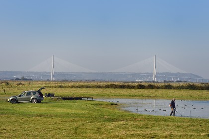France, Seine-Maritime (76), Réserve Naturelle de l'estuaire de la Seine, entretien d'un gabion qui est un abri de chasse au gibier d'eau et pont de Normandie en arrière plan