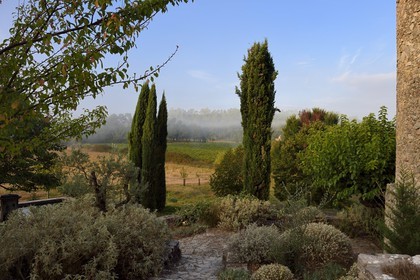 France, Var, Provence Verte (Green Provence), Bras village next to Saint Maximin, Le Peyrourier - une campagne en Provence Bed and Breakfast