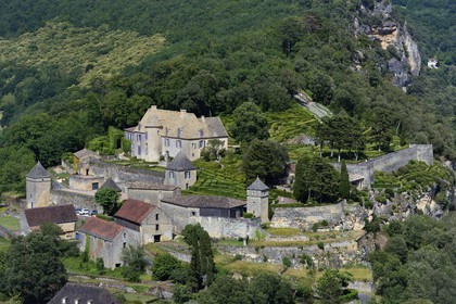 France, Dordogne, Perigord Noir, Dordogne Valley, Vezac, Les Jardins du château de Marqueyssac of the 18th century, park and castle (aerial view)