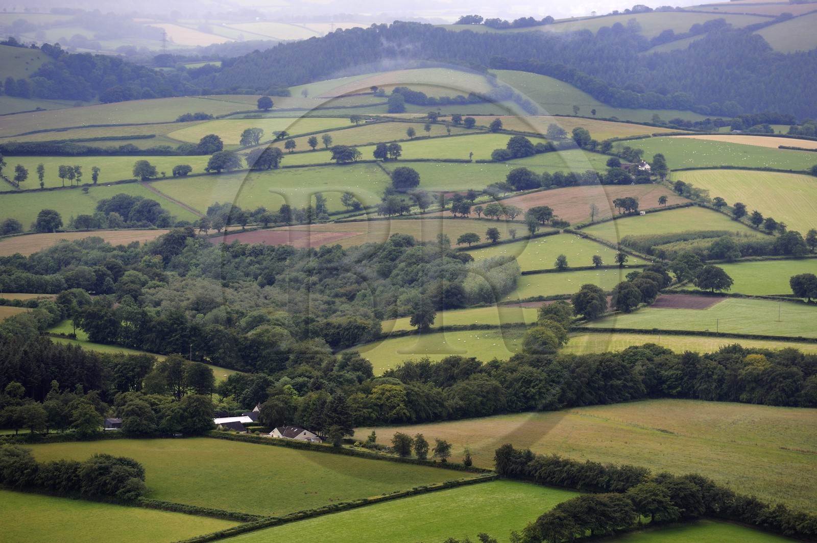 Royaume-Uni, Angleterre, Somerset, champs et foret dans la région de Wiveliscombe (vue aérienne)