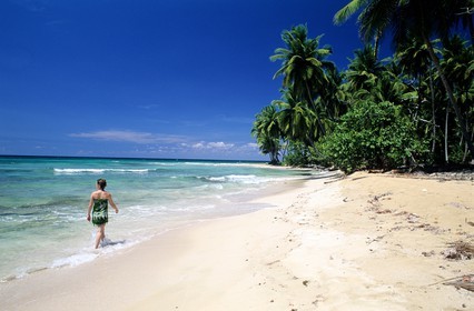 Dominican Republic, Samana peninsula, the desert and wild El Limon beach near Miches