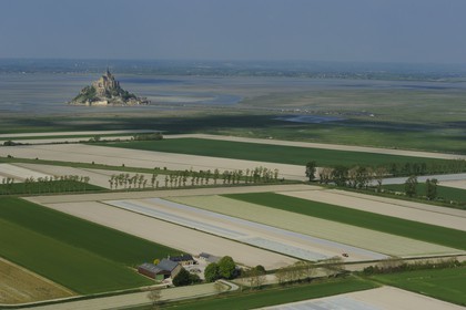 France, Ille-et-Vilaine (35), Baie du Mont Saint-Michel, les champs et les polders du Mont côté breton (vue aérienne)