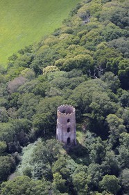United Kingdom, England, Somerset, Conygar Wood and Conygar Tower (1775) in Dunster (aerial view)