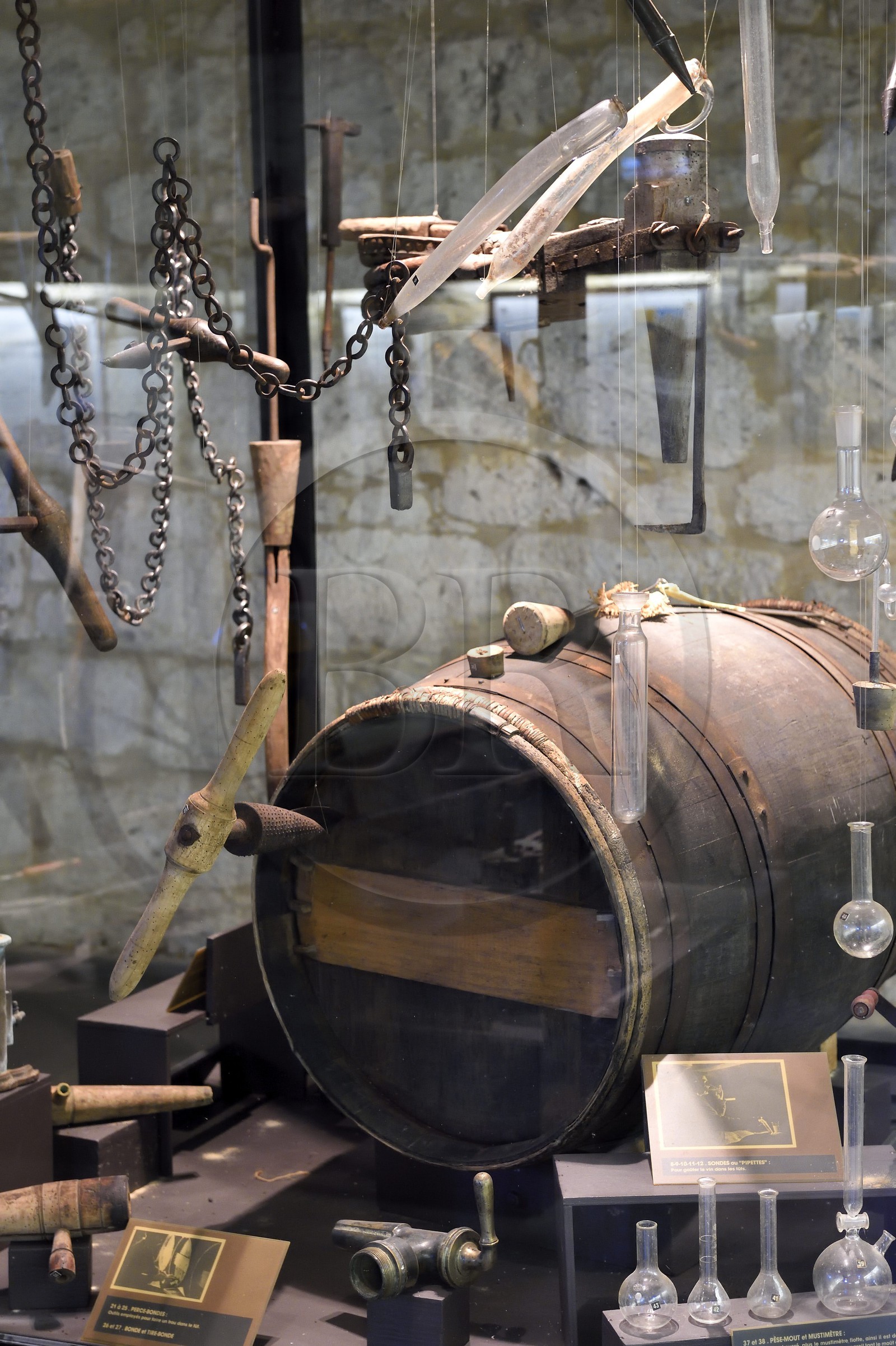 France, Dordogne, Purple Perigord, the castle of Monbazillac, the wine museum in the cellars to discover the world of wine