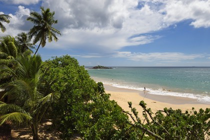 Sri Lanka, Province du Sud, Weligama, plage de Mirissa