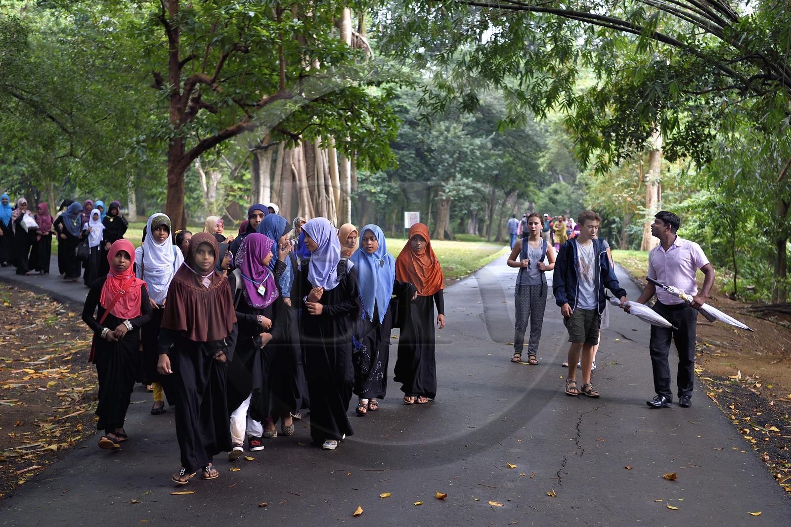 Sri Lanka, province du centre, Kandy, jardin botanique de Peradeniya, sortie scolaire de jeunes filles musulmanes et touristes