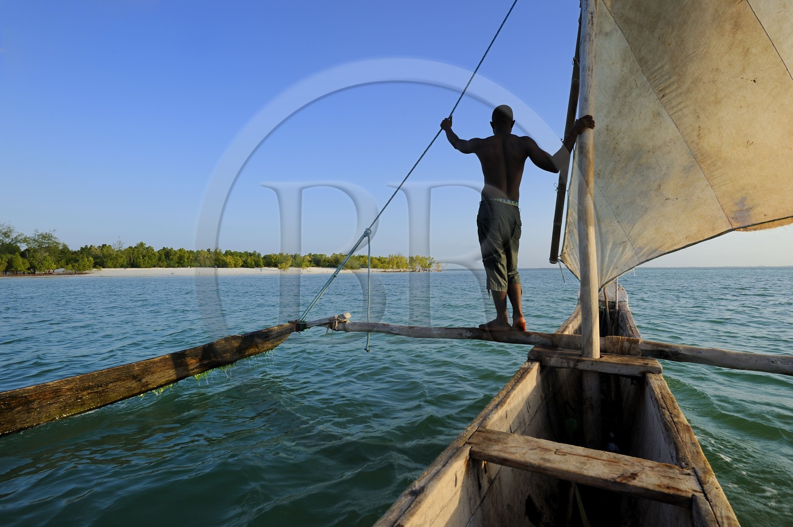 Tanzania, Zanzibar Archipelago, Unguja island (Zanzibar), east coast, Chwaka Bay around Michamvi, a dhow (traditional Arab sailing vessel)