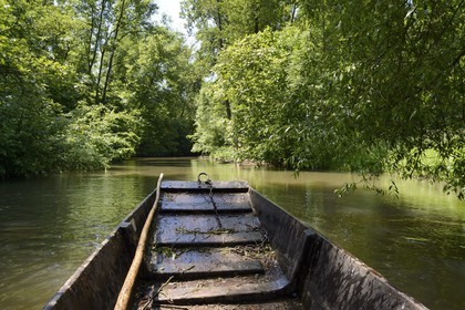 France, Bas Rhin, Ebersmunster and Muttersholtz region, the Ried, small flat bottom boat on the Ill river