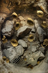 Israel, Jerusalem, Guivat Ram quarter, Israel Museum, department of archeology, The shaman of the clan of the tortoise, burial of a woman with turtle shells in Galilee about 12000 years ago