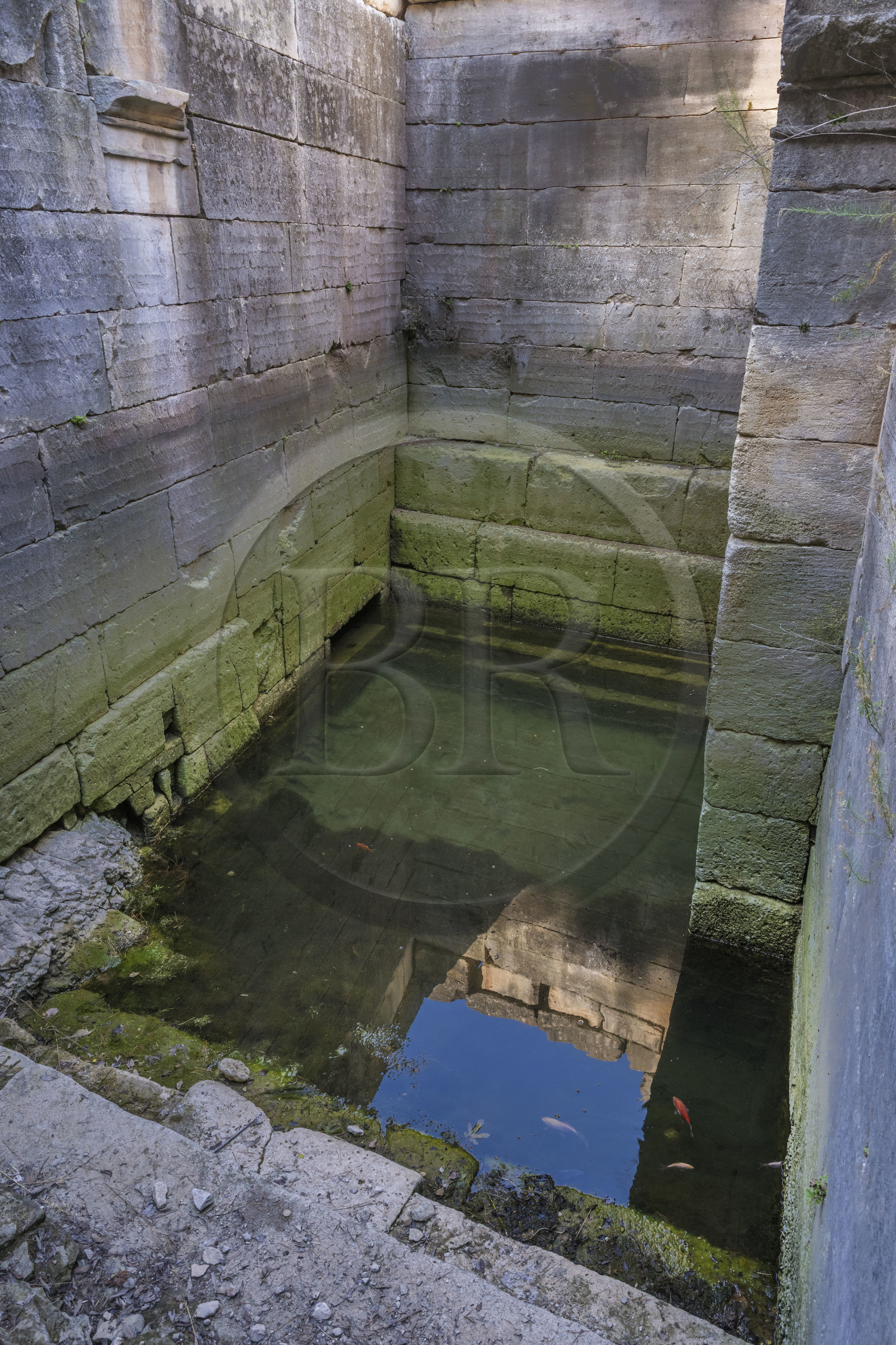 France, Bouches-du-Rhône (13), Parc Naturel Régional des Alpilles, Saint-Rémy-de-Provence, site archéologique de Glanum, la source sacrée et ses vertus curatives ont fait la richesse de la ville