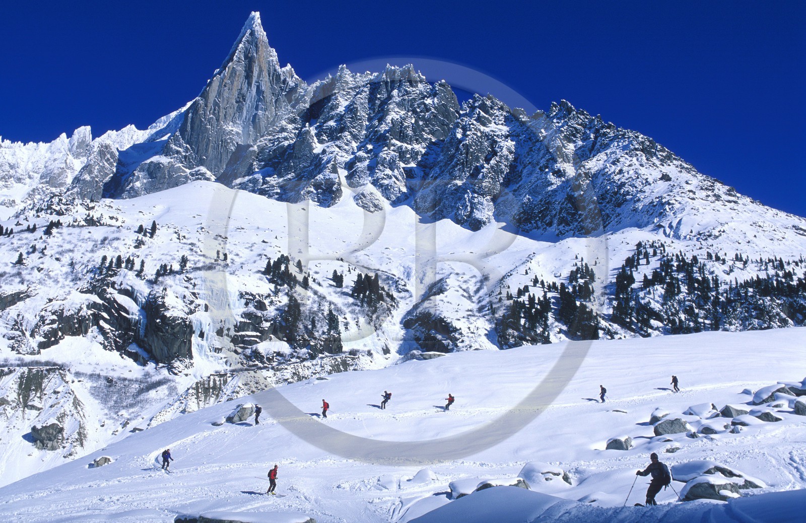 France, Haute-Savoie (74), vallée de Chamonix, skieur sur la Mer de glace aux pied de l'Aiguille verte dans la Vallée Blanche, Mont-Blanc