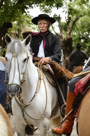 Argentina, Buenos Aires Province, San Antonio de Areco, Tradition Day festival (Dia de Tradicion), Gauchos parade on horseback in traditional dress