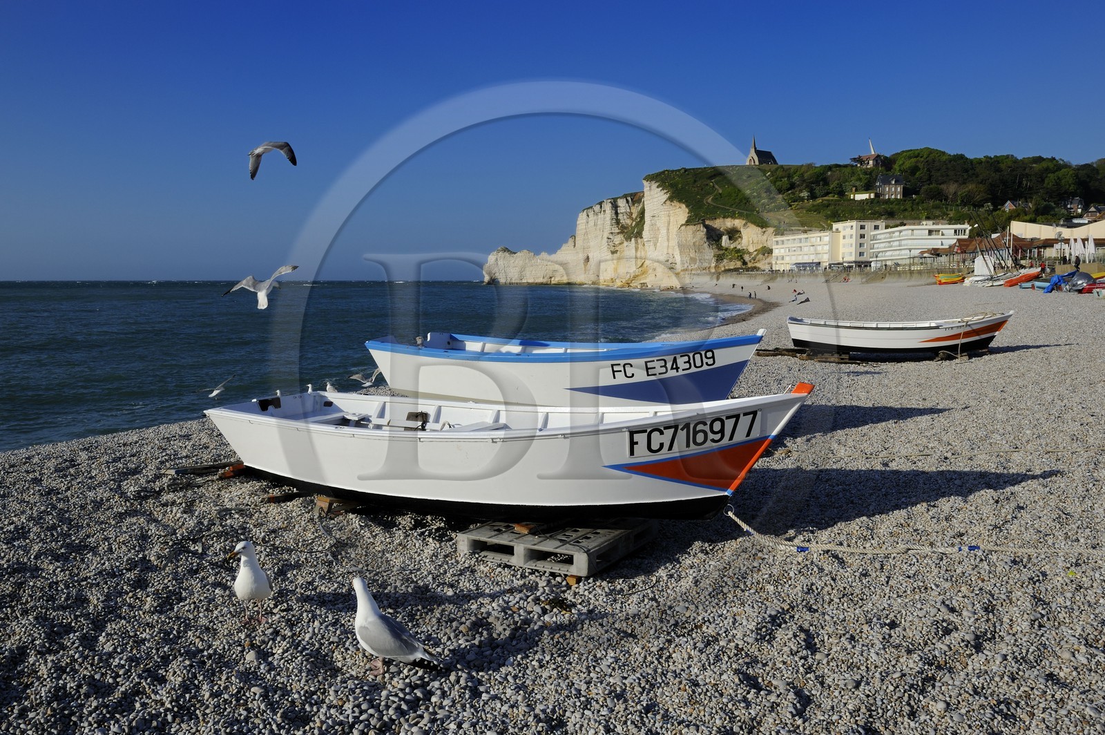 France, Seine-Maritime, Pays de Caux, Cote d'Albatre, Etretat, Amont cliff and Notre-Dame-de-la-Garde church seen from the beach of the town with fishermen's boats